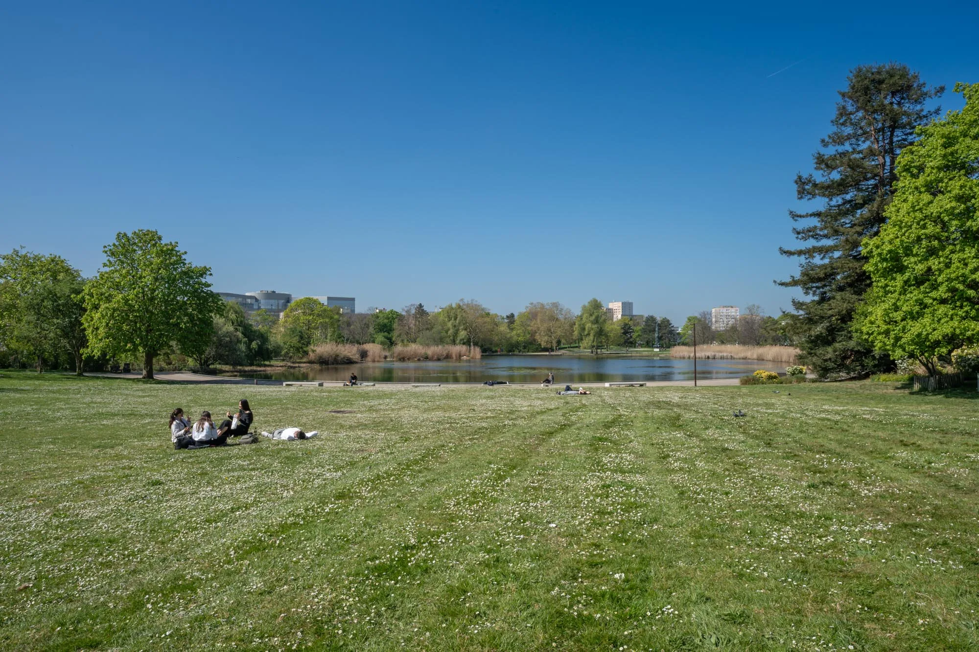 Parc André Malraux - quartier Parc Nord - Nanerre 2 Parc André Malraux - quartier Parc Nord - Nanerre