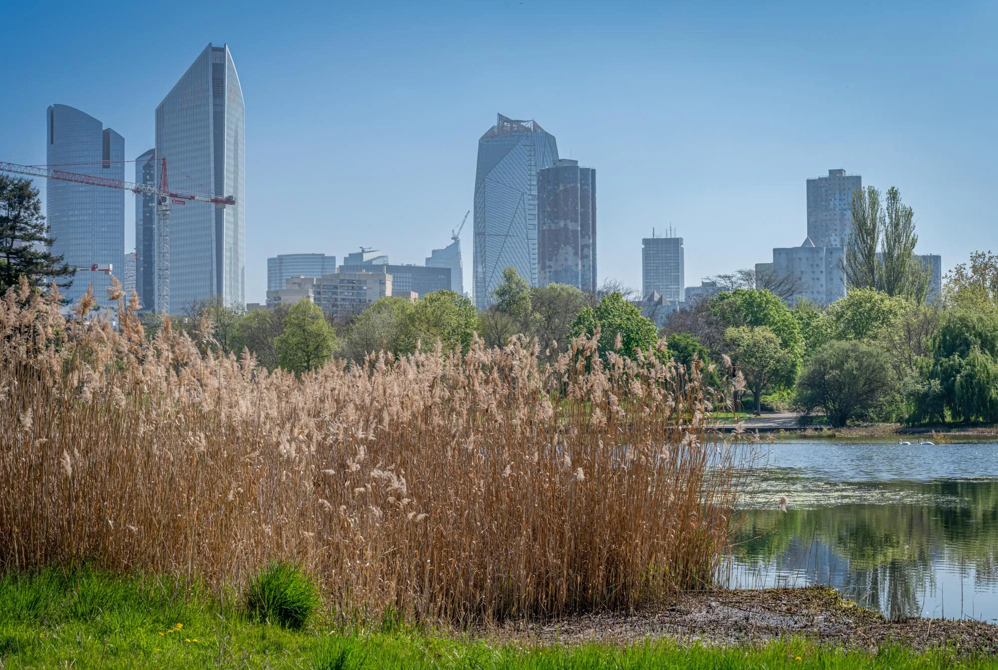 Parc André Malraux - quartier Parc Nord - Nanterre 4 Parc André Malraux - quartier Parc Nord - Nanterre