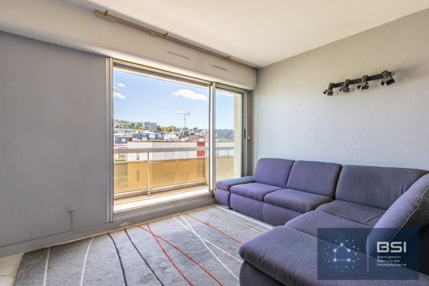 06 appartement 3pièces 300 000 € Plateau Mont Valérien Séjour